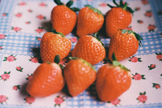 Tử vi thứ 2 ngày 29/8/2022 của 12 cung hoàng đạo: Kim Ngưu tò mò, Song Tử lo lắng