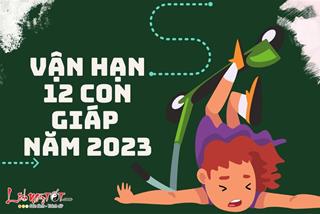 Vận hạn 12 con giáp năm 2023: Bạn phải đối diện với những bất lợi nào?