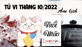 Tử vi tháng 10/2022 tuổi Mão Âm lịch: Nhất định phải đề cao giải pháp an toàn