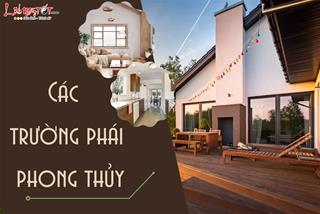 Thông tin cơ bản về các trường phái phong thủy cho người mới bắt đầu