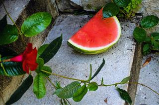 Tử vi thứ 6 ngày 23/9/2022 của 12 con giáp: Sửu khúc mắc, Dần nổi trội