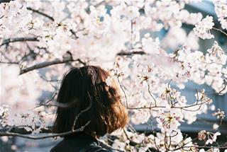 Tử vi thứ 2 ngày 16/1/2023 của 12 cung hoàng đạo: Sư Tử trầm tính, Hổ Cáp mạnh mẽ