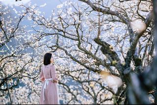Tử vi thứ 6 ngày 20/1/2023 của 12 cung hoàng đạo: Xử Nữ e ngại, Song Tử bất ổn