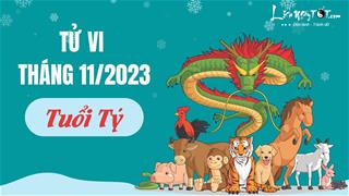 Tử vi tháng 11/2023 tuổi Tý âm lịch: Nhiều cơ hội nhưng không phải khi nào bạn cũng biết nắm bắt