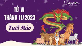 Tử vi tháng 11/2023 tuổi Mão âm lịch: Thành tích rực rỡ nhưng dễ vướng thị phi vì kiêu căng