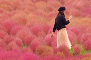 Tử vi tuần mới của 12 cung hoàng đạo 23 - 29/10/2023: Sư Tử giỏi giang, Nhân Mã tự do