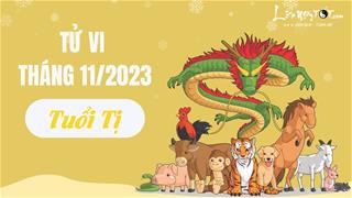 Tử vi tháng 11/2023 tuổi Tị âm lịch: Thiếu nhiệt tình nhưng nhiều lộc nên tiền bạc rung rỉnh