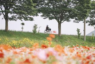 Tử vi thứ 4 ngày 18/10/2023 của 12 cung hoàng đạo: Sư Tử bất ổn, Ma Kết tinh tường