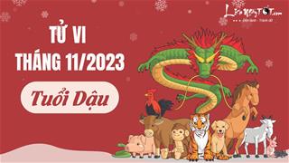 Tử vi tháng 11/2023 tuổi Dậu âm lịch: Có chút hoang mang nhưng cuối cùng mọi thứ đều êm đẹp