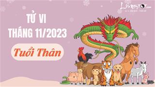 Tử vi tháng 11/2023 tuổi Thân âm lịch: Bon chen, vất vả nhưng chưa chắc được ghi nhận