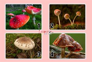 Trắc nghiệm tâm lý: Chọn loại nấm bạn cho là ĐỘC nhất, xem bạn tàn nhẫn đến mức nào!