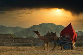 Tử vi tuần mới của 12 cung hoàng đạo 30/10-5/11/2023: Cự Giải nghi ngờ, Xử Nữ dè chừng