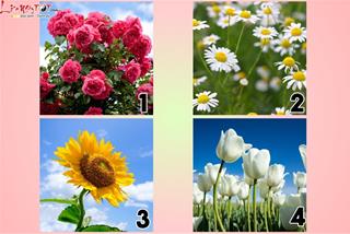 Trắc nghiệm tâm lý: Nguyên nhân bạn chết ở kiếp trước là gì? Bạn từng là ai?