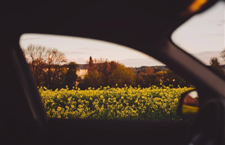 Tử vi thứ 4 ngày 29/11/2023 của 12 cung hoàng đạo: Hổ Cáp mệt mỏi, Nhân Mã tự tin