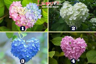 Trắc nghiệm tâm lý: Ai là người ảnh hưởng nhất đến cuộc đời của bạn?