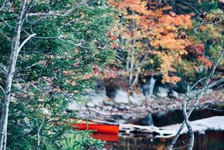 Tử vi thứ 2 ngày 18/12/2023 của 12 con giáp: Dần gặp quý nhân, Dậu phiền muộn