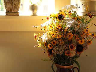 Tử vi Chủ nhật ngày 26/2/2023 của 12 con giáp: Ngọ duyên dáng, Tị lạc quan