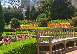 Tử vi thứ 6 ngày 17/2/2023 của 12 cung hoàng đạo: Xử Nữ vui tính, Song Tử thông minh