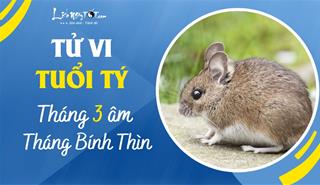 Tử vi tháng 3/2023 tuổi Tý âm lịch: Khơi thông thế bế tắc, thích hợp để cầu danh cầu lợi