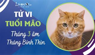 Tử vi tháng 3/2023 tuổi Mão âm lịch: Trước nghịch sau thuận, càng về cuối tháng càng tốt đẹp