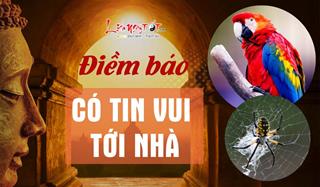 12 điềm báo sắp có tin vui tìm đến nhà bạn, chuẩn bị "may túi 3 gang" mà hứng lộc nhé!