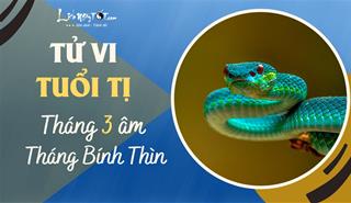 Tử vi tháng 3/2023 tuổi Tị âm lịch: Đón giai đoạn phát triển quan trọng