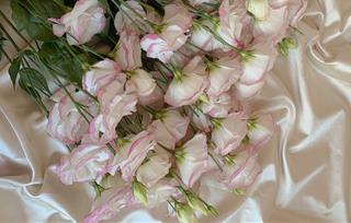 Tử vi tuần mới của 12 con giáp từ 20 - 26/2/2023: Dần hoang mang, Tý gặp may