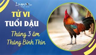 Tử vi tháng 3/2023 tuổi Dậu âm lịch: Biến động tích cực, khẳng định được năng lực