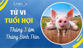 Tử vi tháng 3/2023 tuổi Hợi âm lịch: Nhiều biến động bất lợi, phải chạy đôn chạy đáo