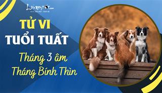 Tử vi tháng 3/2023 tuổi Tuất âm lịch: Cần thêm cố gắng mới mong vượt qua sóng gió