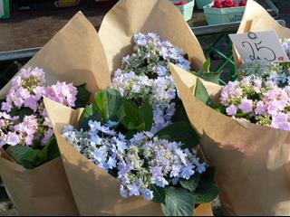 Tử vi tuần mới từ 13 - 19/3/2023 của 12 con giáp: Thân cực may mắn, Ngọ được bù đắp