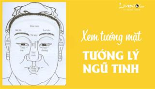 Tướng lý Ngũ tinh, thuận tướng thì đại phú đại quý, cả đời vinh hoa hiển đạt