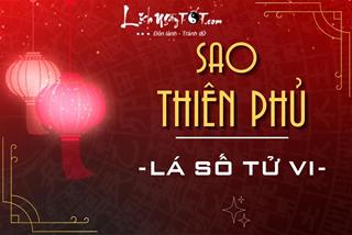 SAO THIÊN PHỦ là gì? Luận giải ý nghĩa hung – cát của Thiên Phủ khi an tại 12 cung