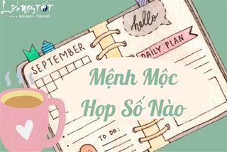 Mệnh Mộc hợp số nào để tài lộc ào ào đổ về gia chủ?