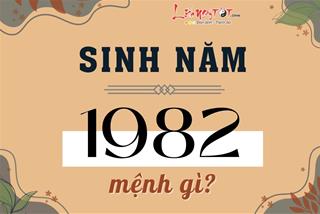 Sinh năm 1982 mệnh gì, tuổi con gì, hợp màu gì, hợp tuổi nào để làm ăn thuận lợi?