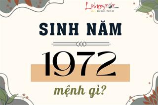 Sinh năm 1972 mệnh gì? Bí mật vận mệnh người tuổi Nhâm Tý ra sao?
