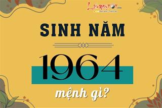 Sinh năm 1964 mệnh gì? Tuổi Giáp Thìn hợp màu gì, hướng nào, tuổi nào?
