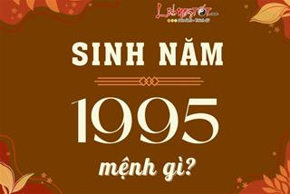 Sinh năm 1995 mệnh gì, tuổi con gì, xây nhà hướng nào thì tốt, hợp tuổi nào?