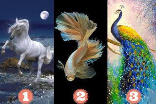 Trắc nghiệm tâm lý: Linh vật nào sẽ mang tin vui bất ngờ cho bạn nửa cuối tháng 3 này?