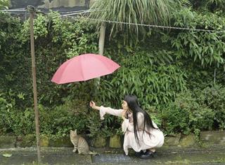 Tử vi thứ 6 ngày 24/3/2023 của 12 cung hoàng đạo: Hổ Cáp hồ hởi, Cự Giải khó chịu