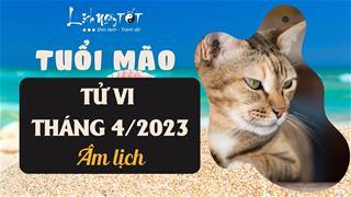Tử vi tháng 4/2023 tuổi Mão âm lịch: Vượt qua áp lực để có được thành công vang dội