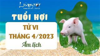 Tử vi tháng 4/2023 tuổi Hợi âm lịch: Nhanh nhạy nắm bắt thời cơ, có nhiều lộc