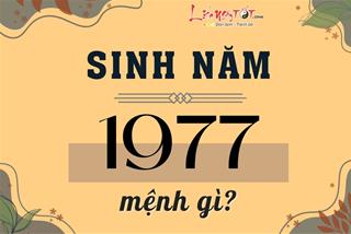 Sinh năm 1977 mệnh gì? Lựa chọn màu sắc, hướng nhà ra sao để gặp nhiều may mắn?