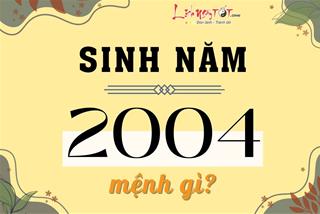 Sinh năm 2004 mệnh gì, tuổi con gì, hợp tác làm ăn hay kết hôn với tuổi nào thì viên mãn?