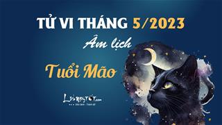 Tử vi tháng 5/2023 tuổi Mão âm lịch: Hung cát song hành, chớ nên bỏ cuộc
