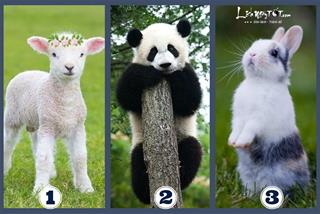 Trắc nghiệm tâm lý: Nửa cuối tháng 4/2023, ĐIỀU TỐT ĐẸP gì sẽ đến với bạn?