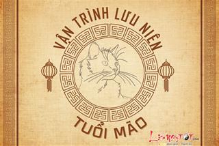 Vận trình lưu niên của tuổi Mão biến động thế nào, đâu là thời điểm bứt phá gặt hái thành công