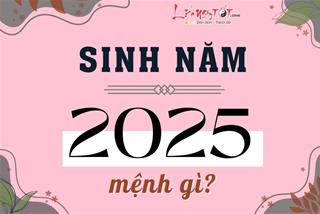 Sinh năm 2025 mệnh gì? Tuổi con gì? Số mệnh sướng hay khổ?