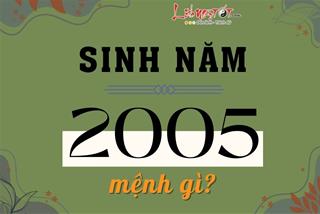 Sinh năm 2005 mệnh gì, tuổi con gì, hợp màu nào, ở nhà hướng nào để làm ăn thịnh phát?