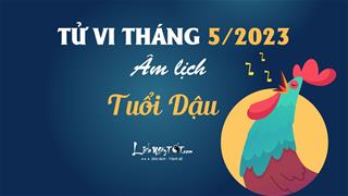 Tử vi tháng 5/2023 tuổi Dậu âm lịch: Suy nghĩ bi quan, vận trình ảm đạm